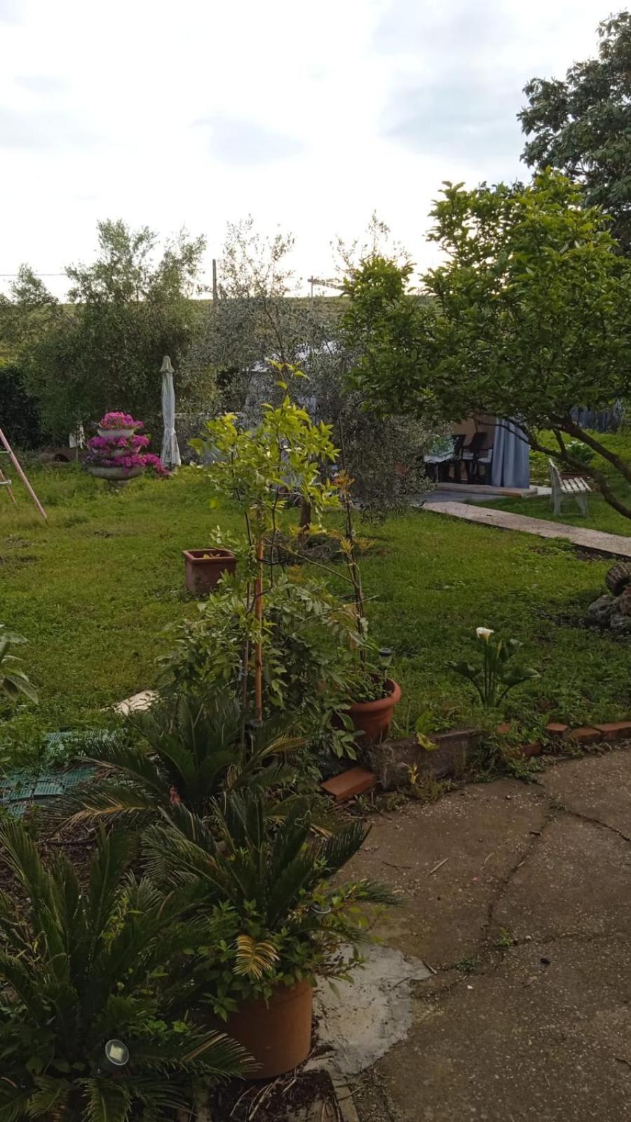 Appartamento Casina Maria Roma Esterno foto